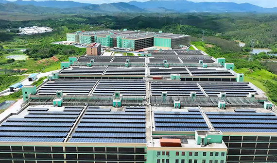 九游(中国)智能化楼房养殖项目介绍